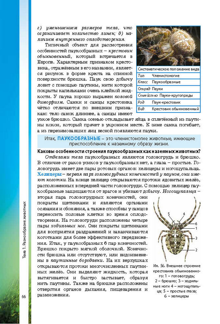 Биология 7 класс Соболь 2015 (Рус.)
