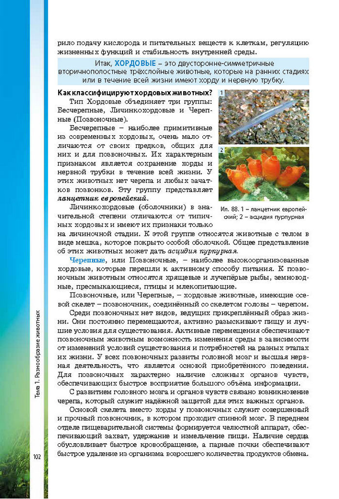 Биология 7 класс Соболь 2015 (Рус.)