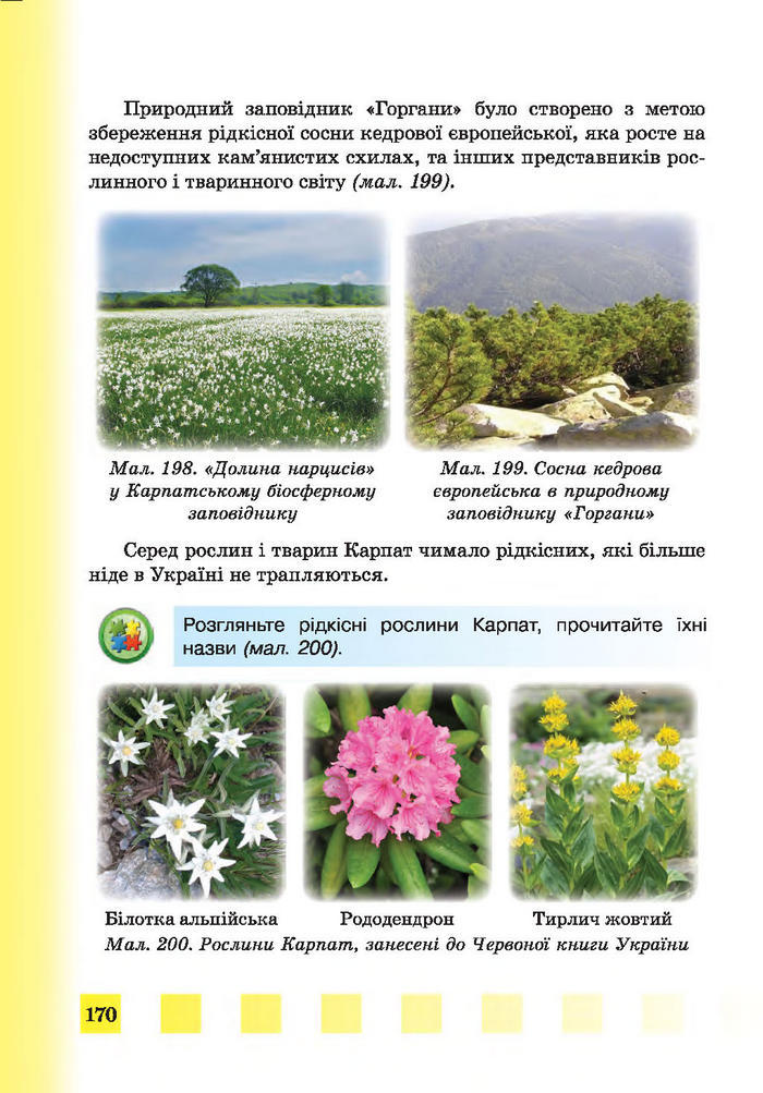Підручник Природознавство 4 клас Жаркова