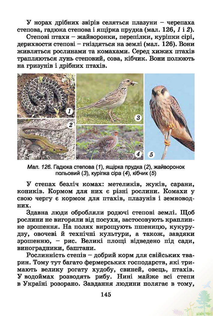 Природознавство 4 клас Гільберг 2015 (Укр.)