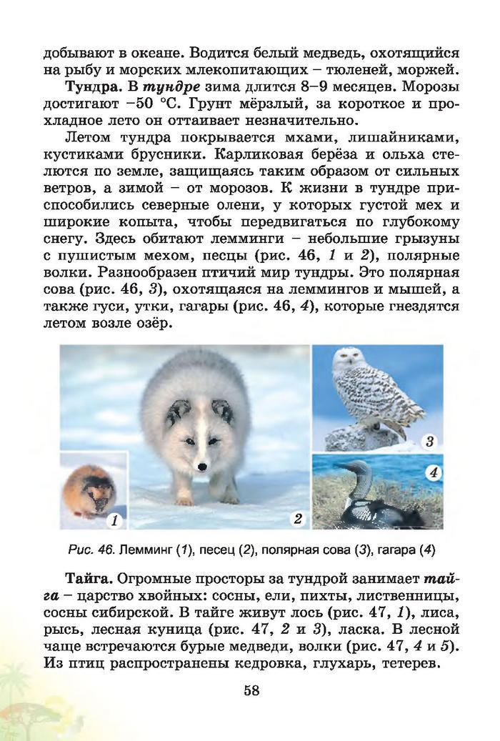 Природоведение 4 класс Гильберг (Рус.)