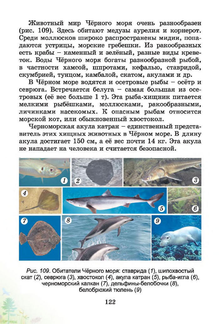 Природоведение 4 класс Гильберг (Рус.)