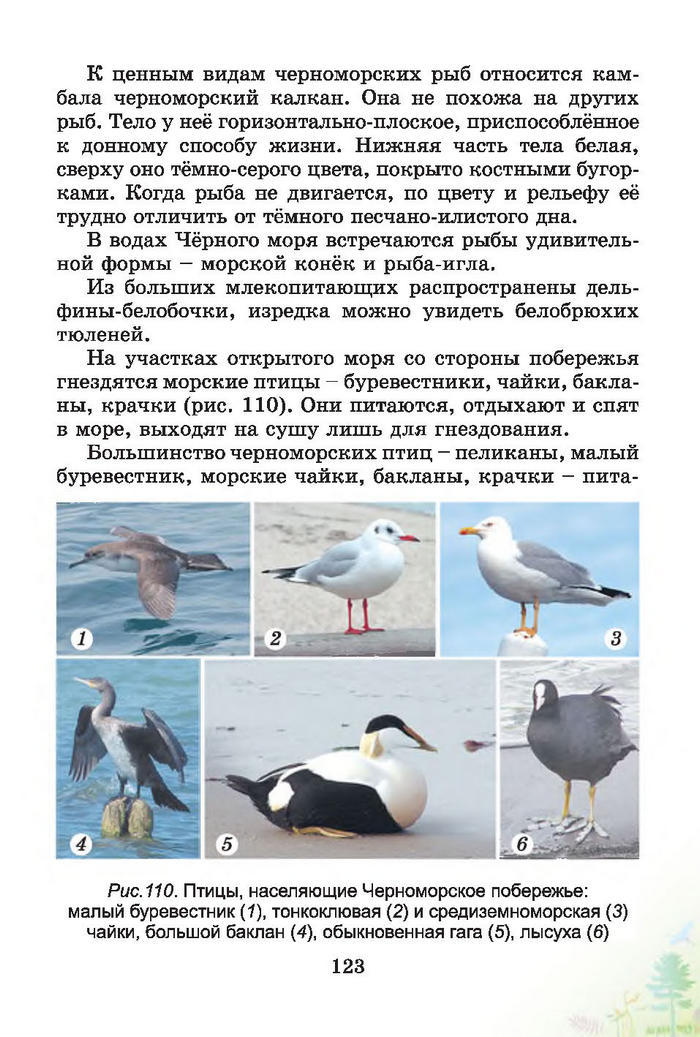 Природоведение 4 класс Гильберг (Рус.)