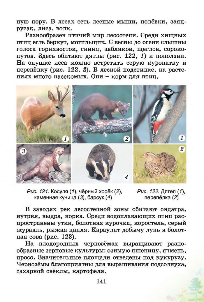 Природоведение 4 класс Гильберг (Рус.)