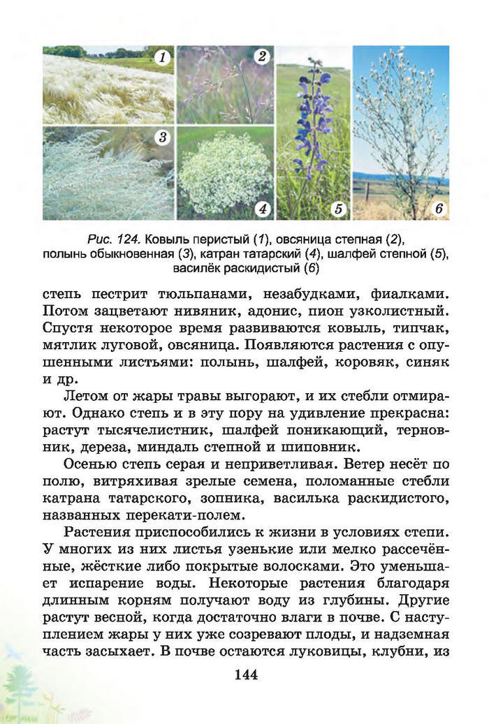 Природоведение 4 класс Гильберг (Рус.)