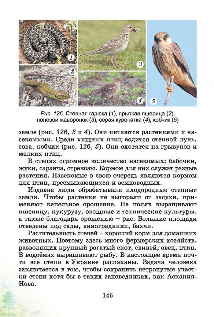 Природоведение 4 класс Гильберг (Рус.)