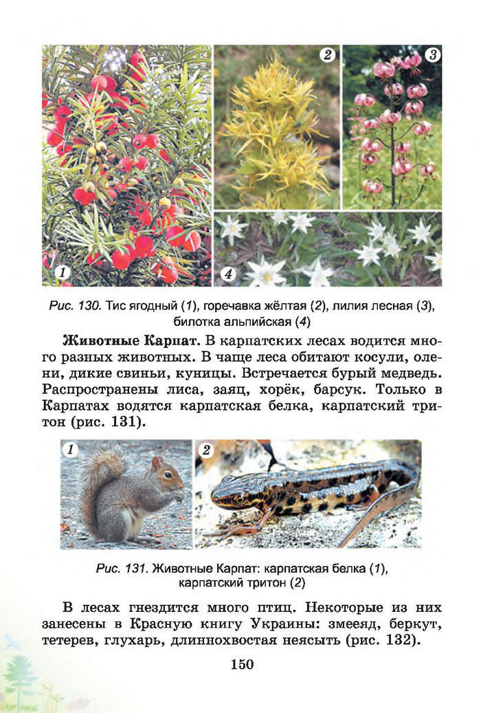 Природоведение 4 класс Гильберг (Рус.)