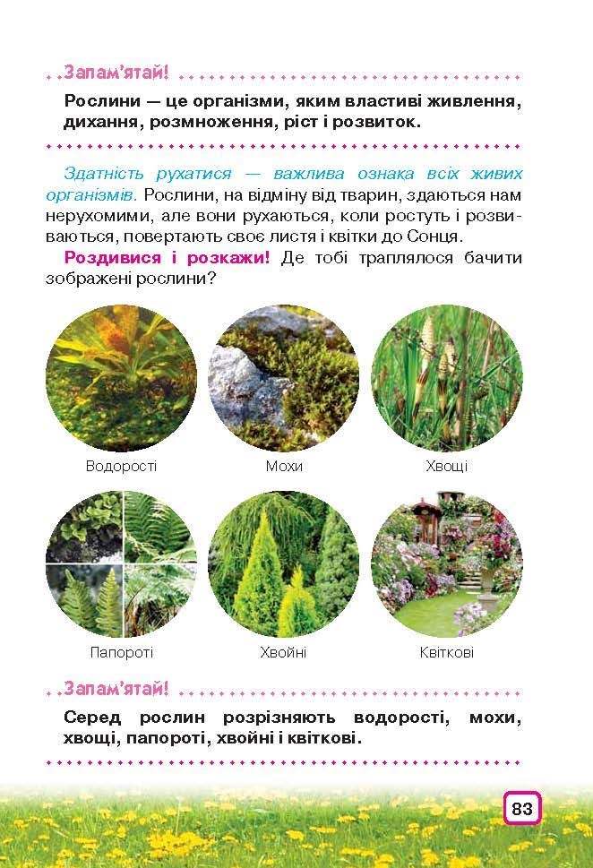 Природознавство 3 клас Грущинська (Укр.)