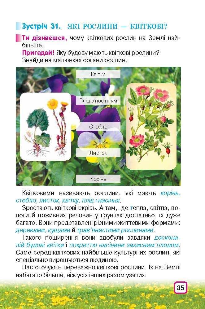 Природознавство 3 клас Грущинська (Укр.)