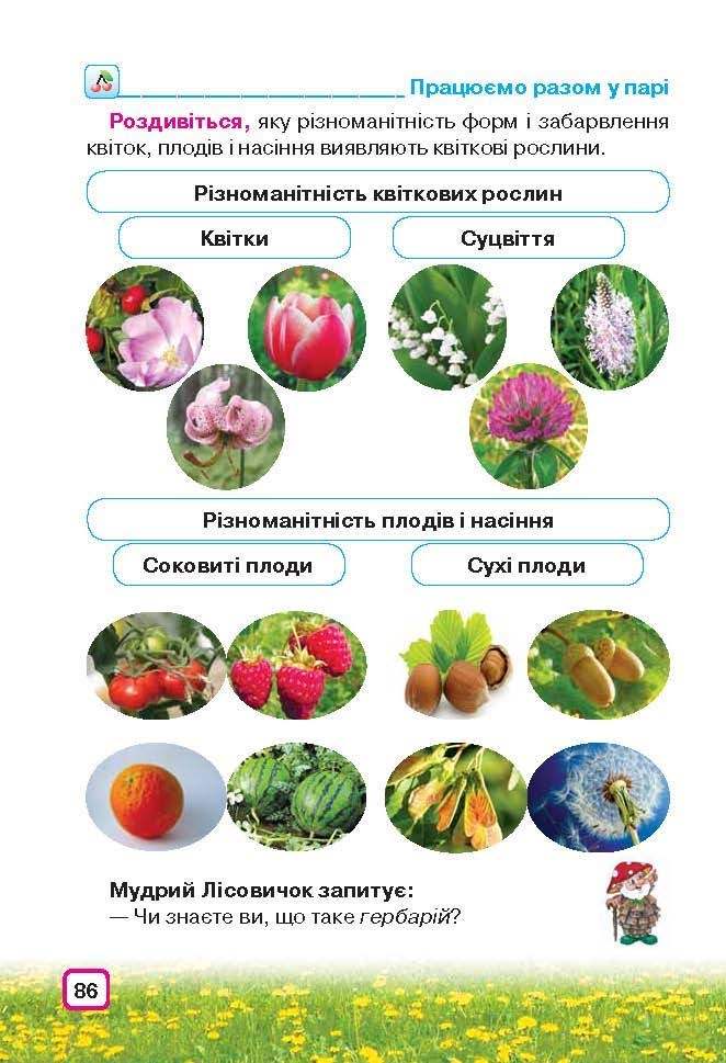 Природознавство 3 клас Грущинська (Укр.)