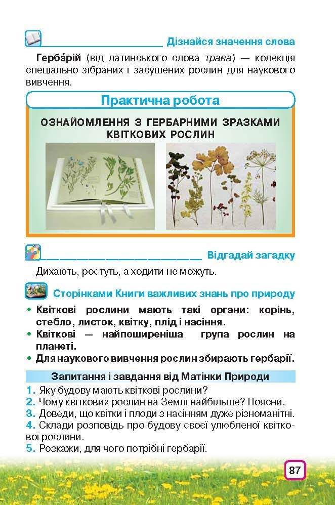Природознавство 3 клас Грущинська (Укр.)