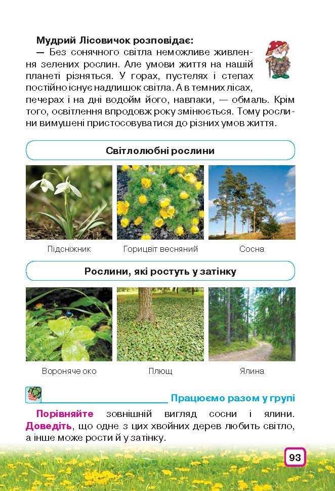 Природознавство 3 клас Грущинська (Укр.)