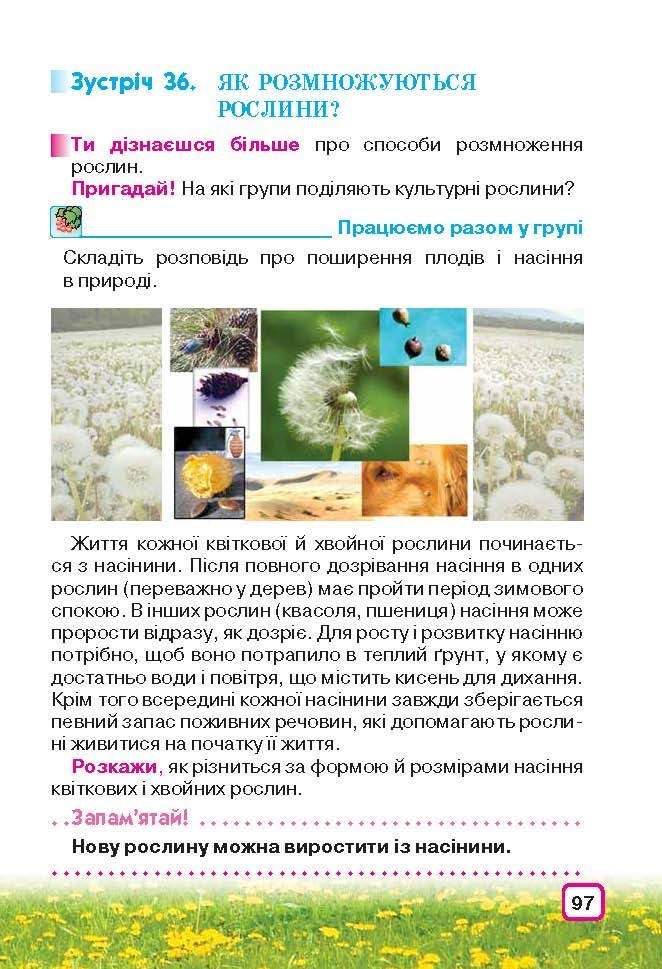 Природознавство 3 клас Грущинська (Укр.)