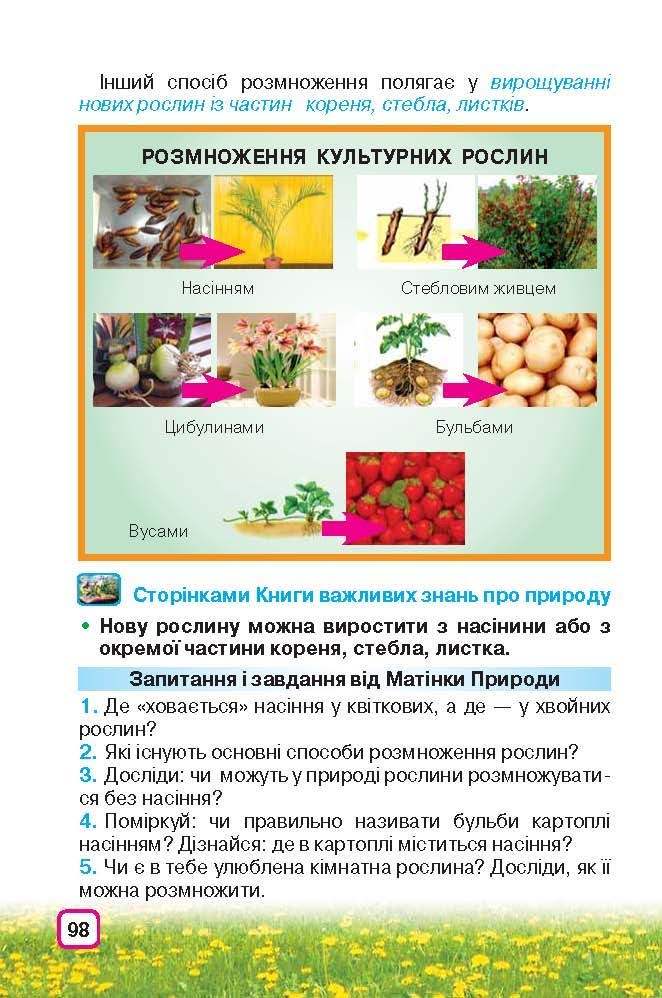 Природознавство 3 клас Грущинська (Укр.)