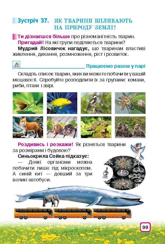 Природознавство 3 клас Грущинська (Укр.)