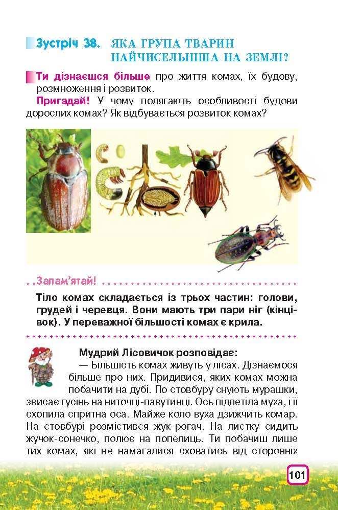 Природознавство 3 клас Грущинська (Укр.)