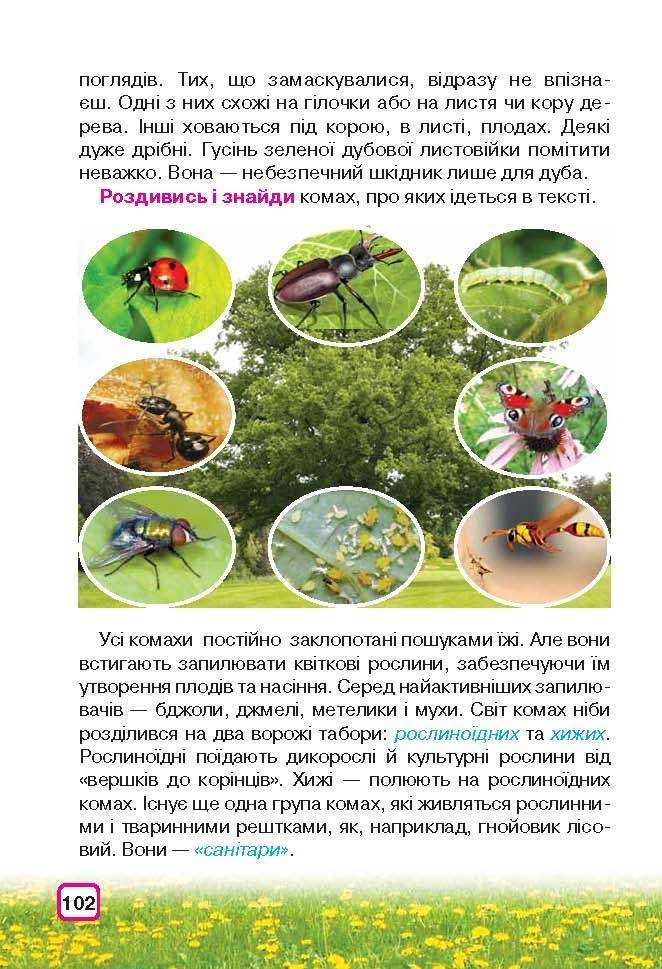 Природознавство 3 клас Грущинська (Укр.)