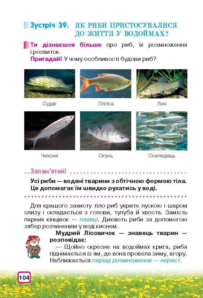 Природознавство 3 клас Грущинська (Укр.)