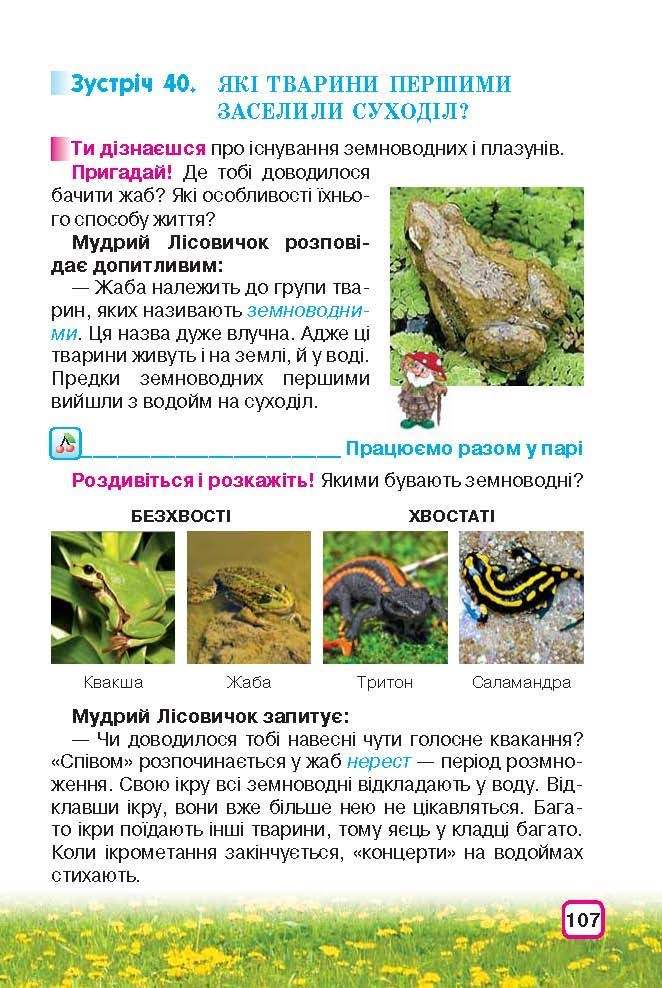 Природознавство 3 клас Грущинська (Укр.)