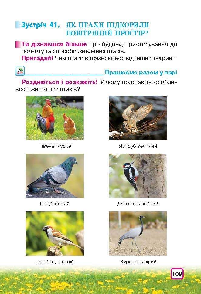 Природознавство 3 клас Грущинська (Укр.)