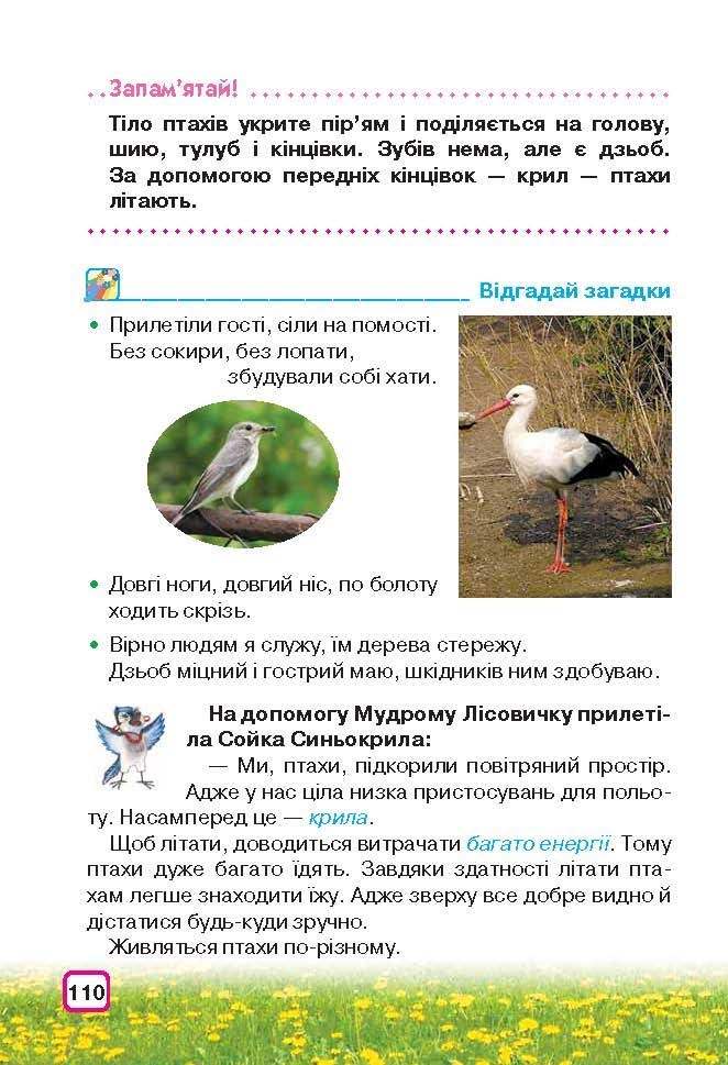 Природознавство 3 клас Грущинська (Укр.)