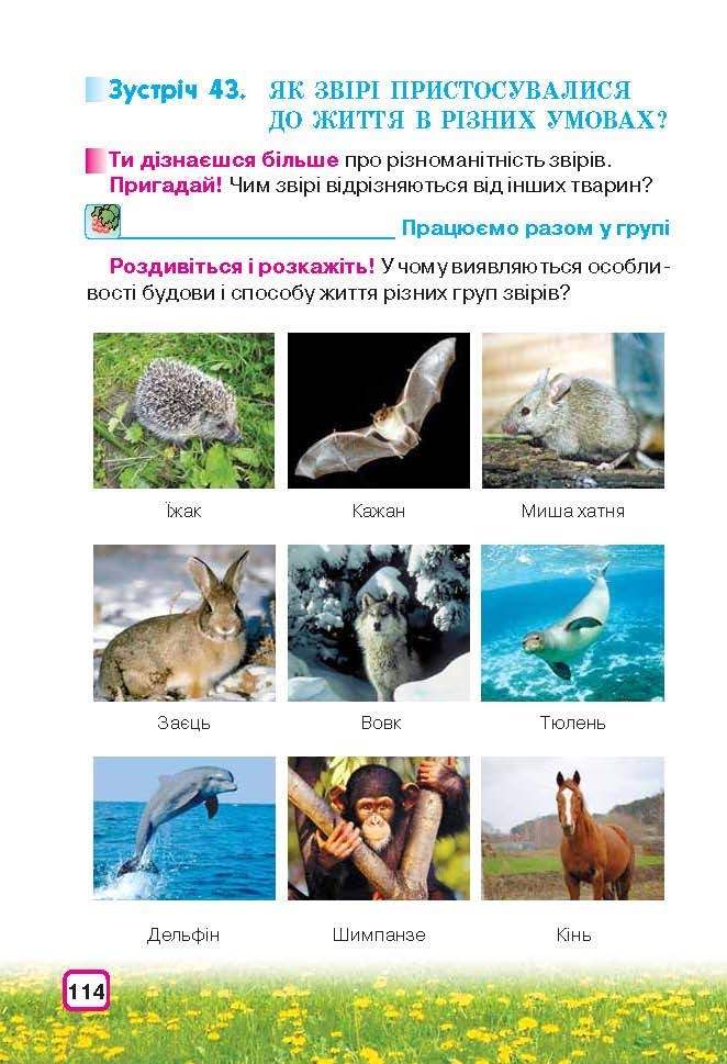 Природознавство 3 клас Грущинська (Укр.)