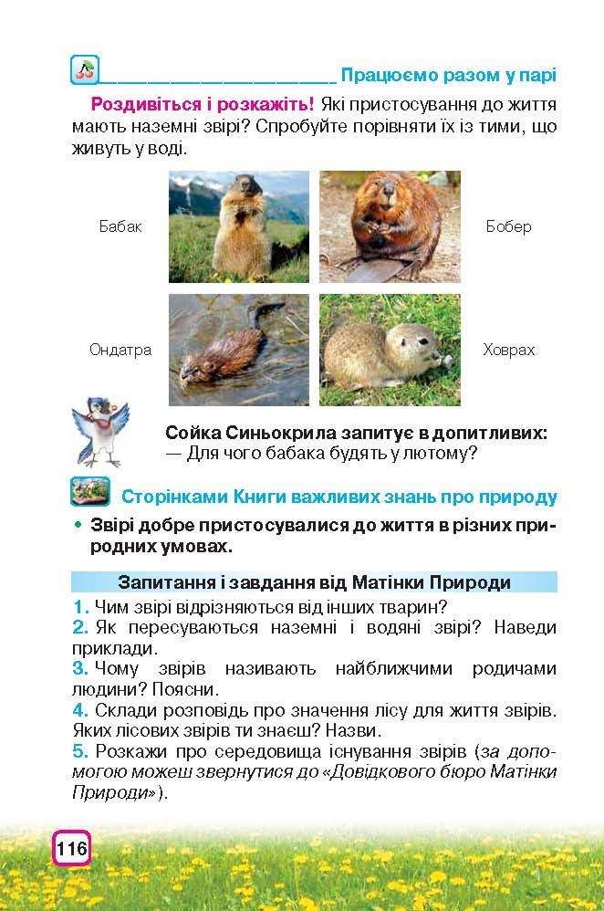 Природознавство 3 клас Грущинська (Укр.)