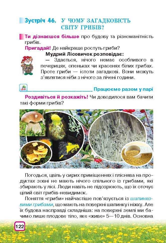 Природознавство 3 клас Грущинська (Укр.)