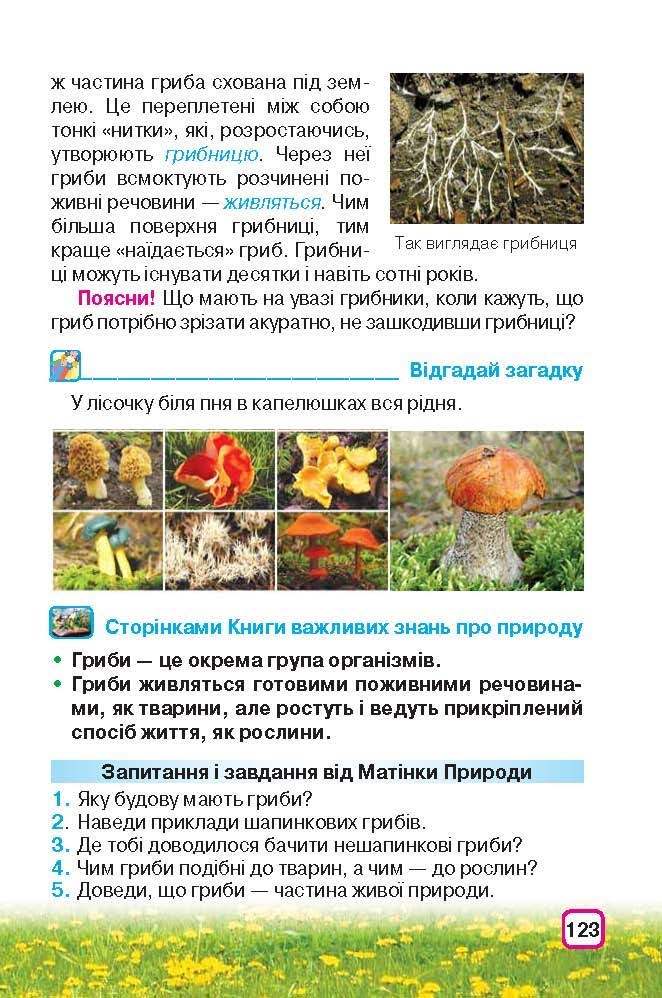 Природознавство 3 клас Грущинська (Укр.)