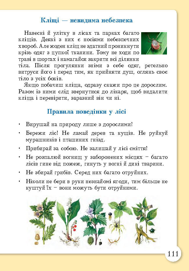 Основи здоров’я 3 клас Бех (Укр.)