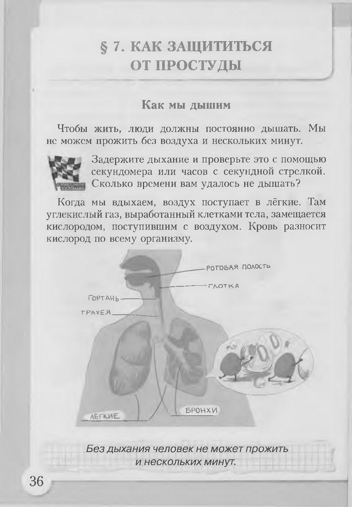 Основы здоровья 3 класс Бех (Рус.)
