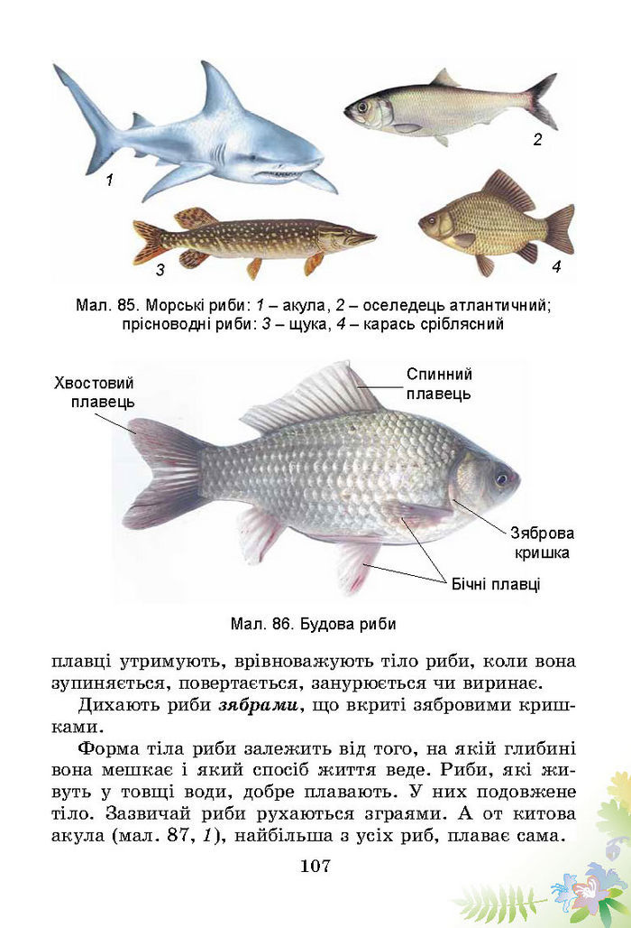 Підручник Природознавство 3 клас Гільберг