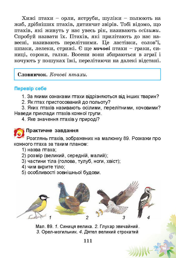 Підручник Природознавство 3 клас Гільберг