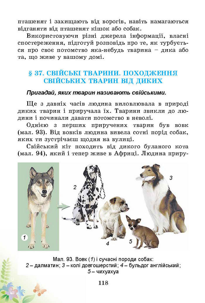 Підручник Природознавство 3 клас Гільберг
