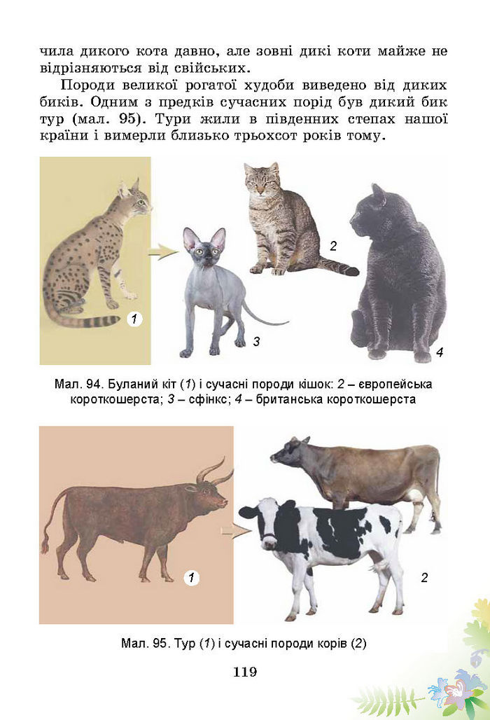 Підручник Природознавство 3 клас Гільберг
