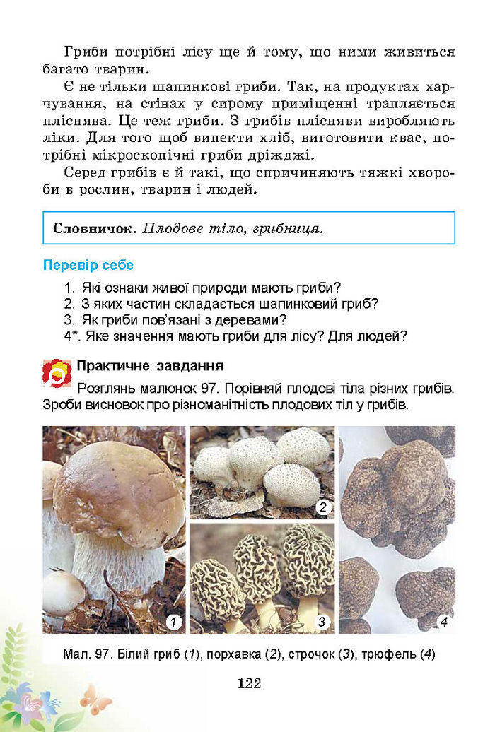 Підручник Природознавство 3 клас Гільберг