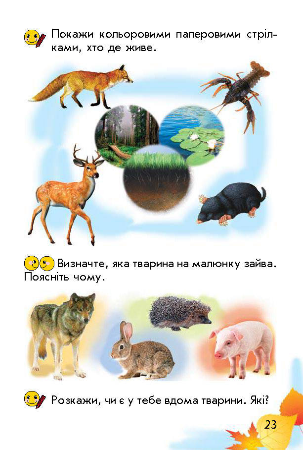 Підручник Природознавство Гільберг 1 клас