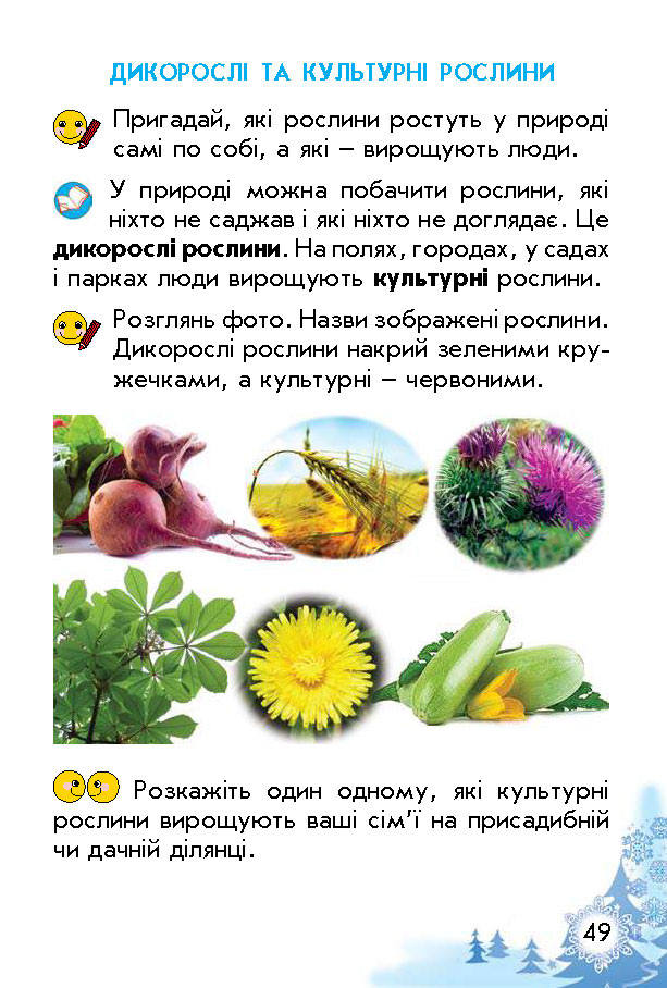 Підручник Природознавство Гільберг 1 клас
