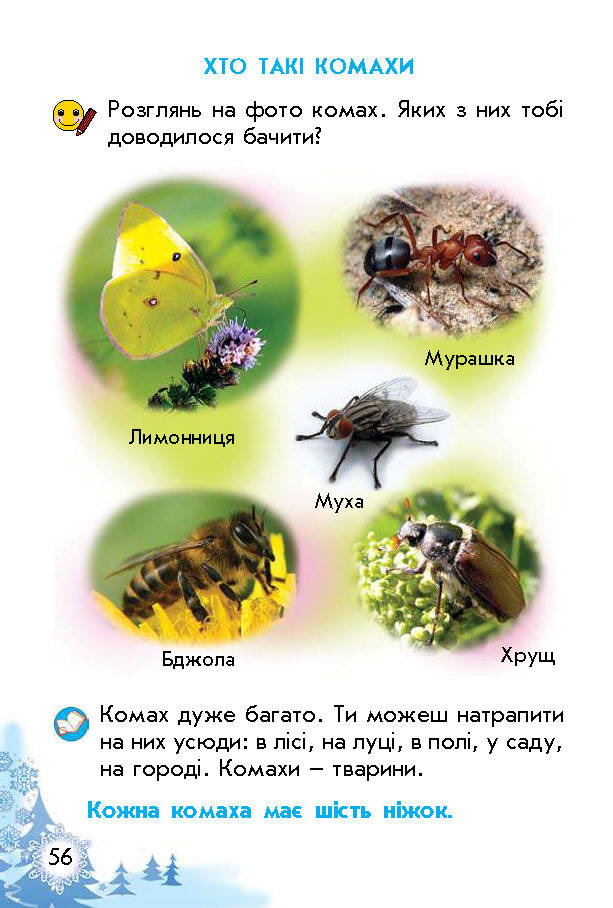 Підручник Природознавство Гільберг 1 клас