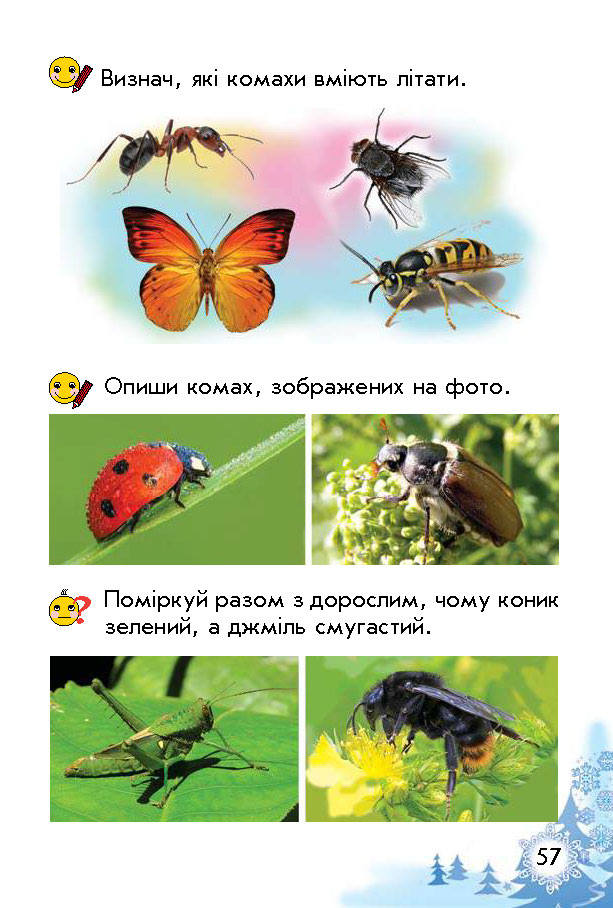 Підручник Природознавство Гільберг 1 клас