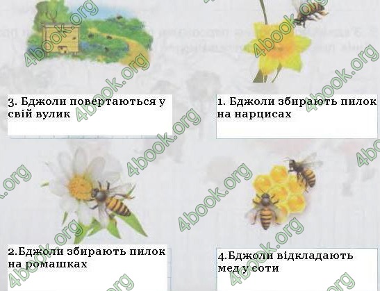 ГДЗ (Ответы, решебник) Зошит Інформатика 4 клас Ломаковська