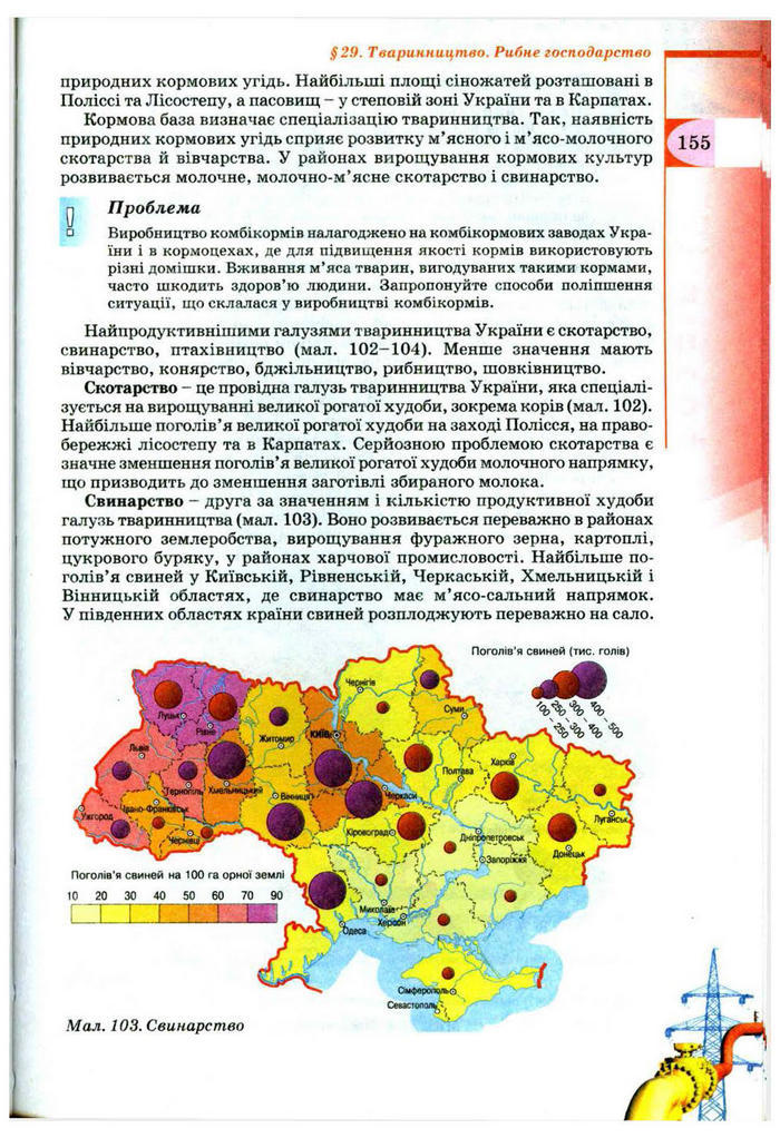 Підручник Географія 9 клас Пестушко