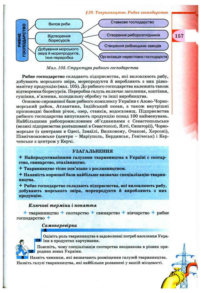 Підручник Географія 9 клас Пестушко