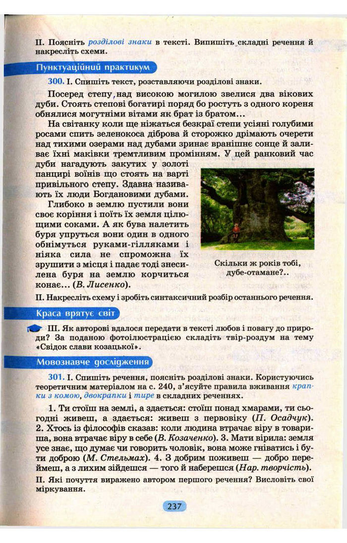 Українська мова 9 клас Пентилюк