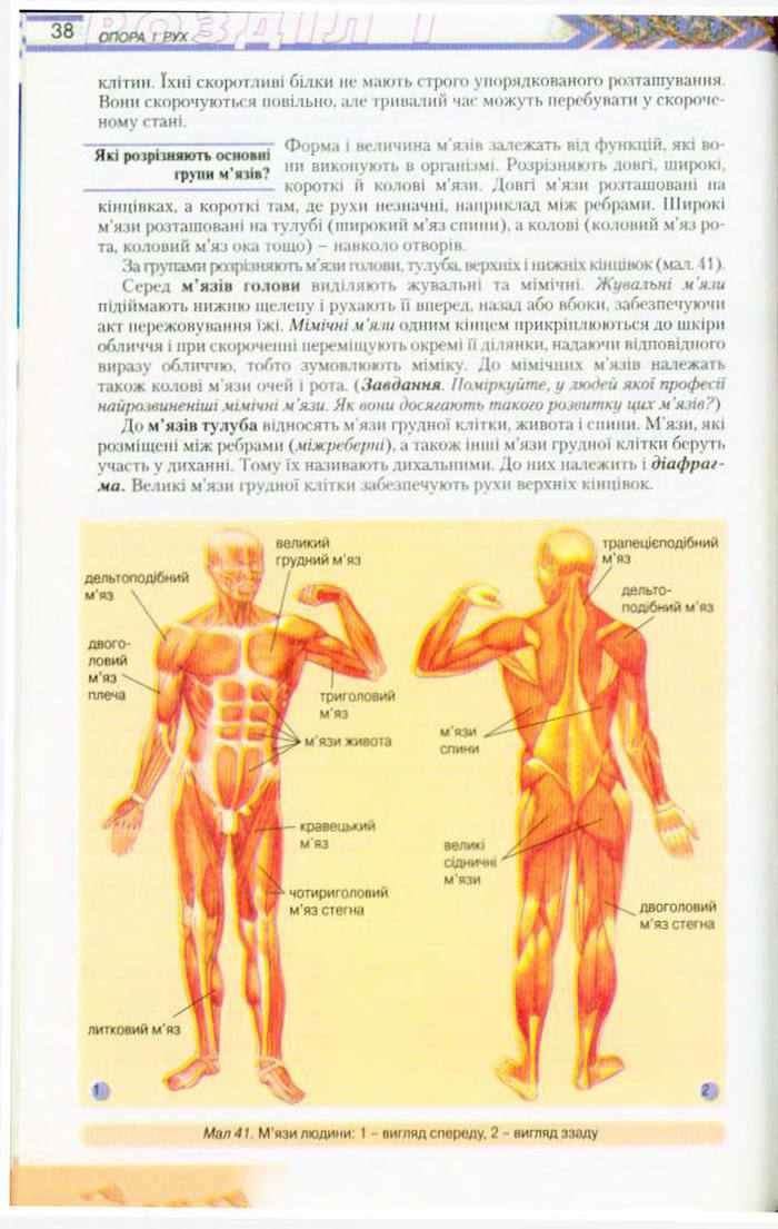 Біологія 9 клас Матяш