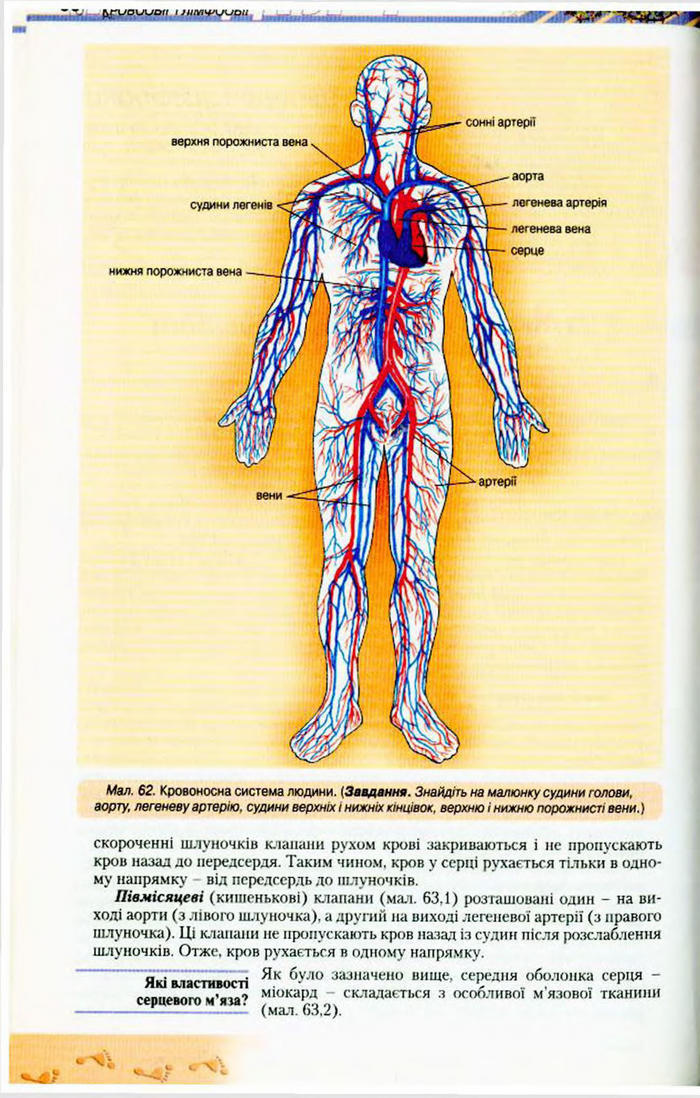 Біологія 9 клас Матяш