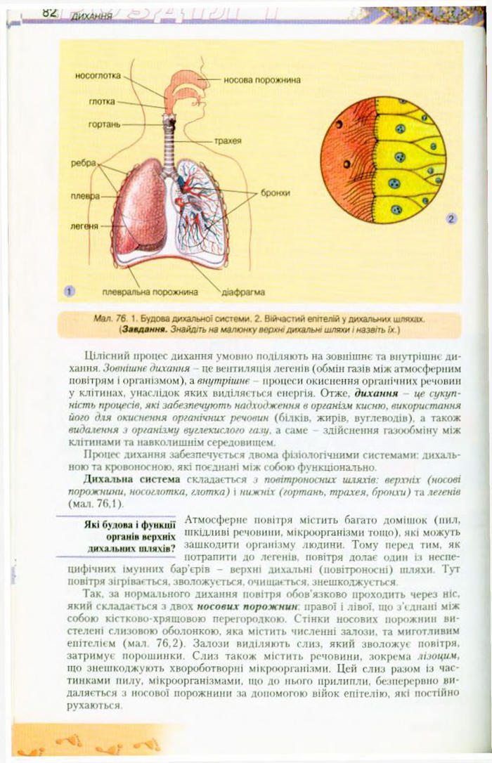 Біологія 9 клас Матяш