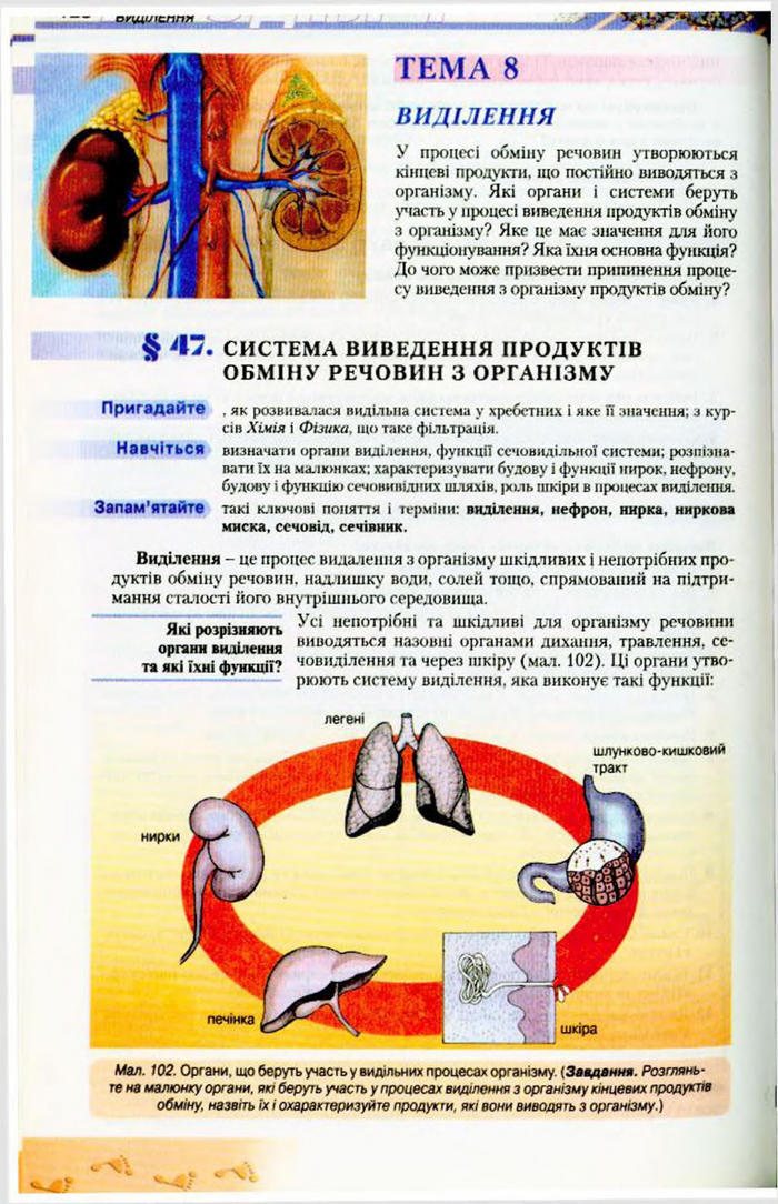 Біологія 9 клас Матяш