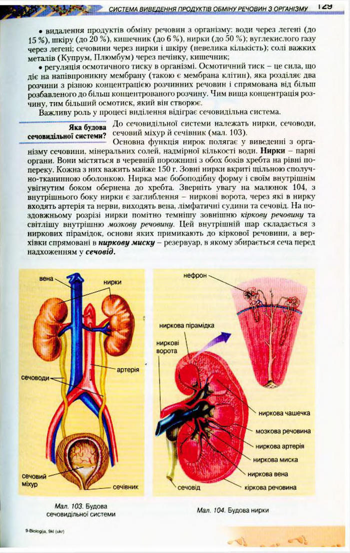 Біологія 9 клас Матяш