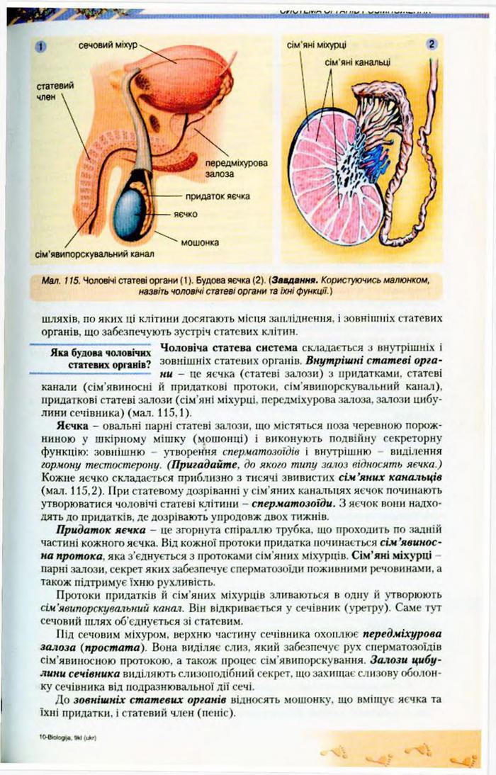 Біологія 9 клас Матяш